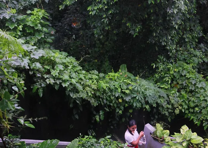 Sari Gong Guest House, A Trishula Collection 招待所 乌布