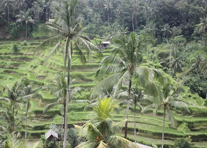 Affittacamere Sari Gong Guest House, A Trishula Collection