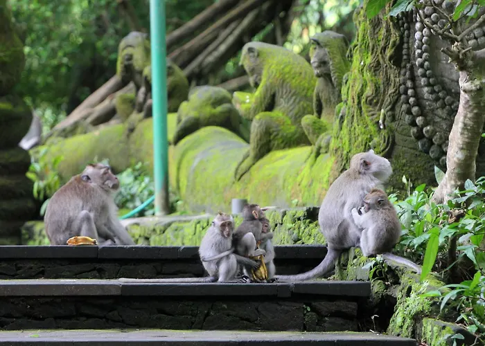 Affittacamere Sari Gong Guest House, A Trishula Collection Ubud